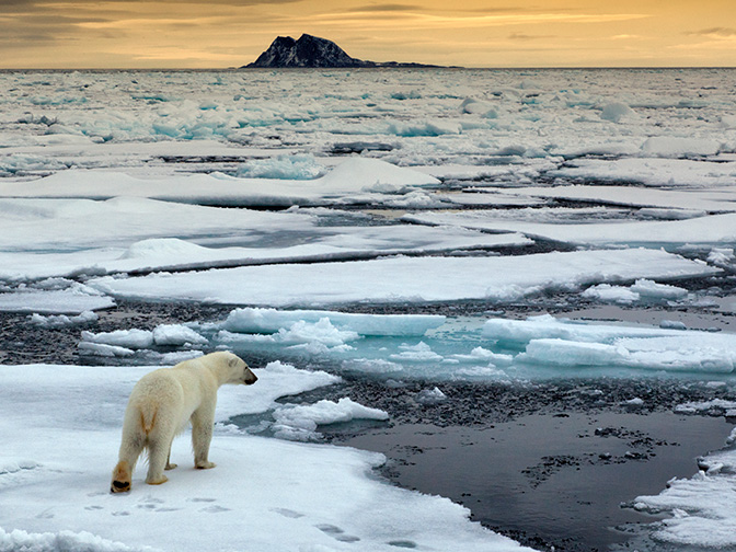 Polar landscape